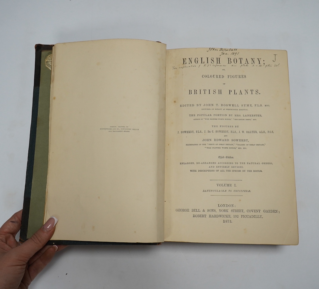 Sowerby, James et al - English botany, or, coloured figures of British plants, edited by John T. Boswell Syme, 3rd edition, 12 vols, 8vo, with 1800 hand-coloured lithographic plates, contemporary half morocco over green